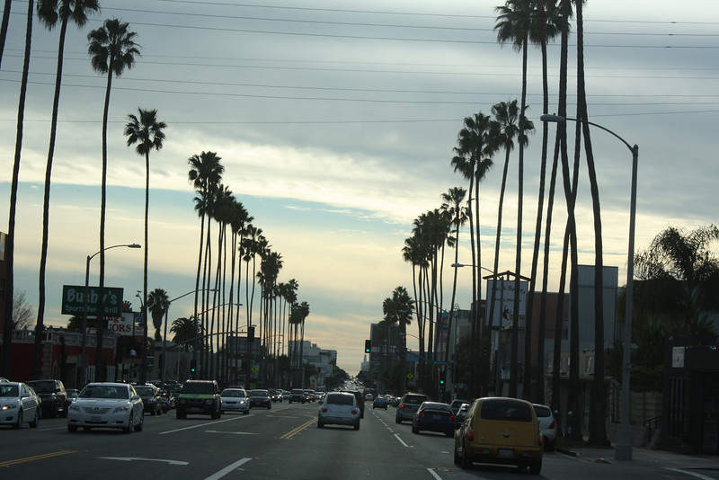IMG_1035-L.jpg