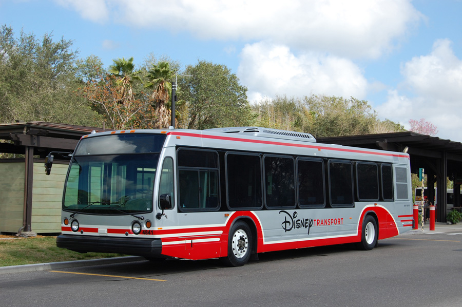 Bus.jpg