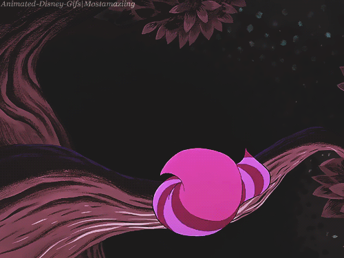 tumblr_mklsa0kQRI1qm6oc3o1_500.gif