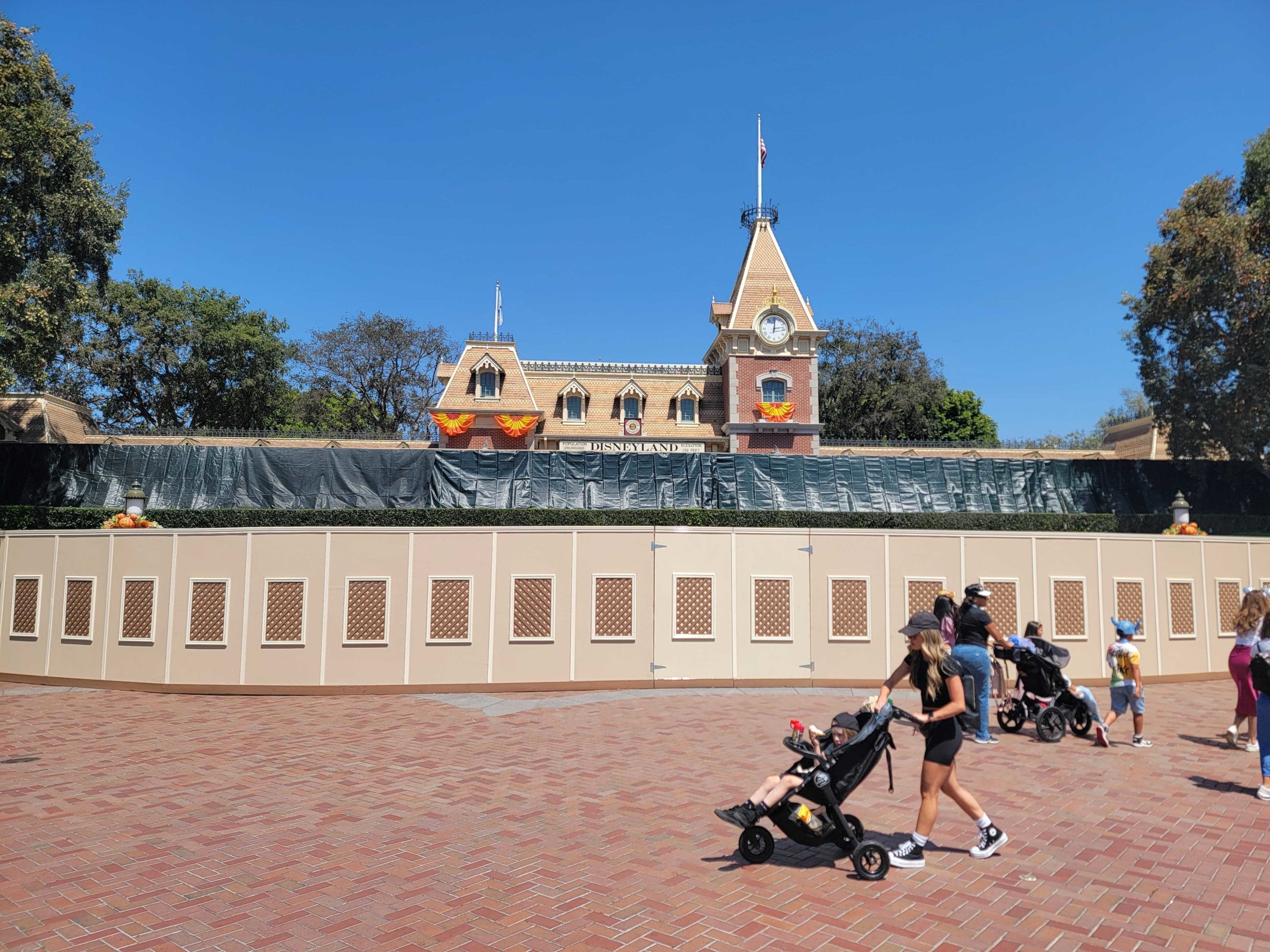 MickeyFloralConstructionWallsAug2022 3 scaled