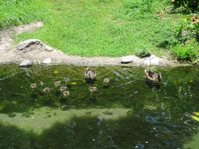 IMG0235-L.jpg