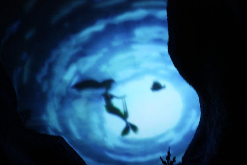IMG9769-L.jpg