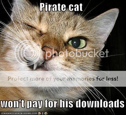 funny-pictures-pirate-cat-grimaces.jpg