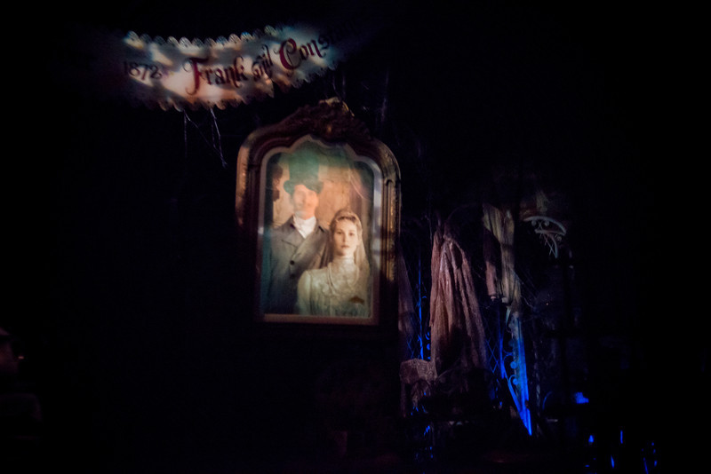 DSC_7650-L.jpg