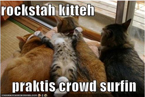 lolcats.png