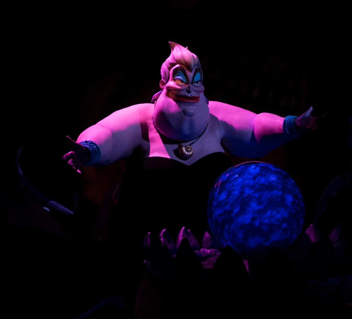 DSC_1729%20(Large).jpg