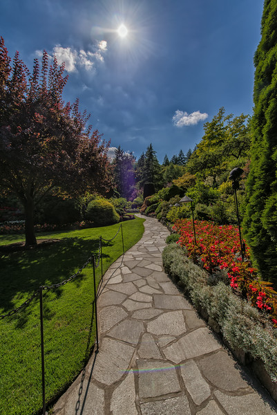 DSC_2717-L.jpg