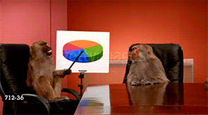 monkey_analytics-300x166.gif