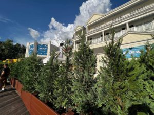 Boardwalk refurb