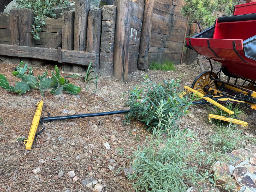 Disneyland red wagon 9