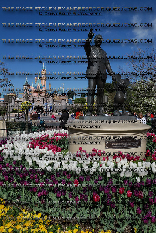 271509100_Qjibv-XL.jpg