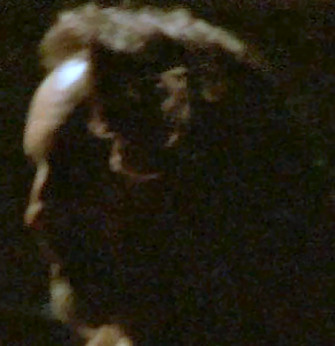 Image13.jpg