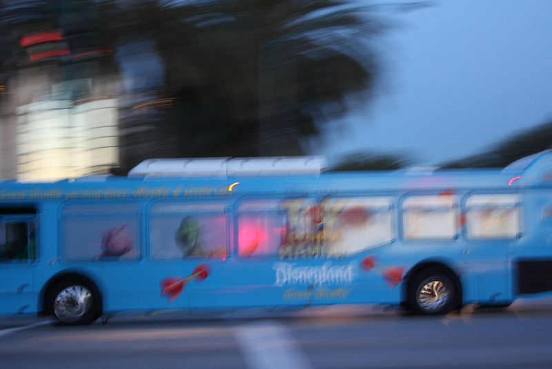 IMG0358-L.jpg