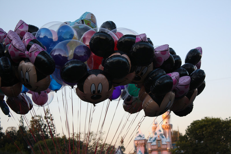 IMG9467-L.jpg