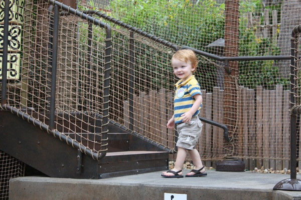 643603307_9wQ44-M.jpg