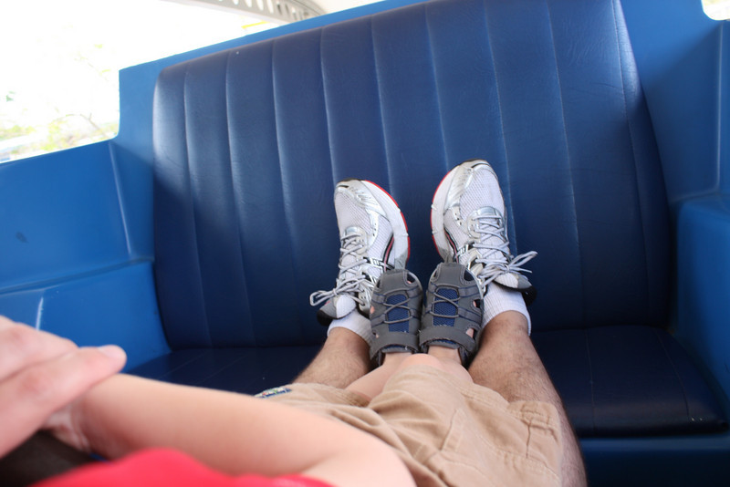 1220487089_Vonf7-L.jpg