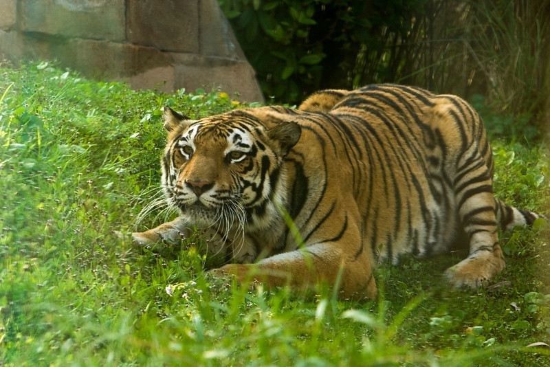 306213715_ZCnPc-L.jpg