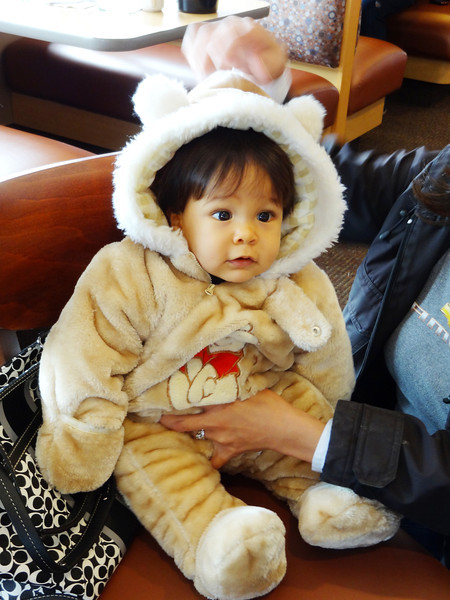 DSC00383-L.jpg