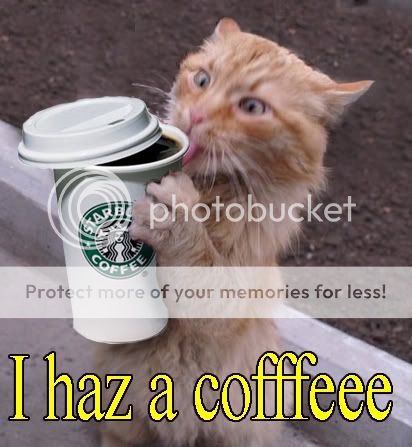 CoffeeCrackCat.jpg