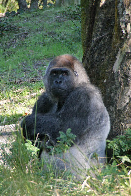 p802325288-4.jpg