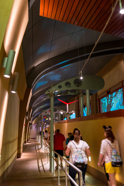 DSC_2406-L.jpg