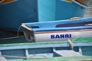 DSC_0505.JPG