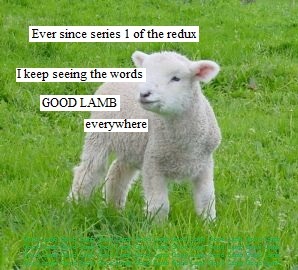 tumblr_ls4w6c6Grv1r3itvoo1_400.jpg