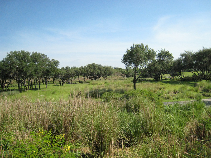 322081093_wKvDN-L.jpg