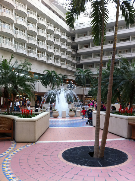 IMG2906-L.jpg