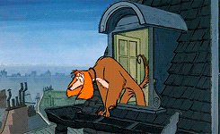 tumblr_nas9c9oMxU1td2pdjo5_250.gif