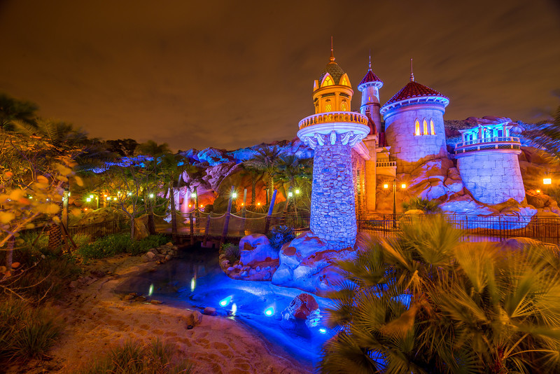 DSC_7413-L.jpg