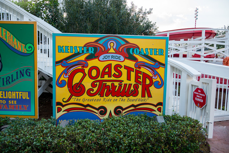 DSC_6135-L.jpg