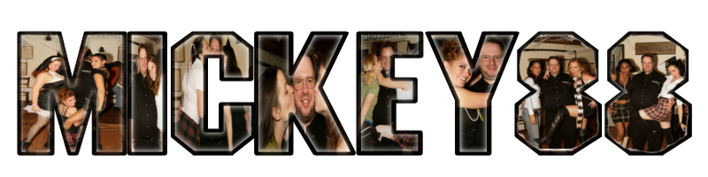 mickey88B5-vi.jpg