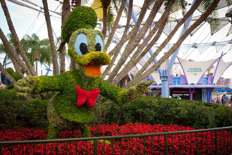 DSC8949-L.jpg