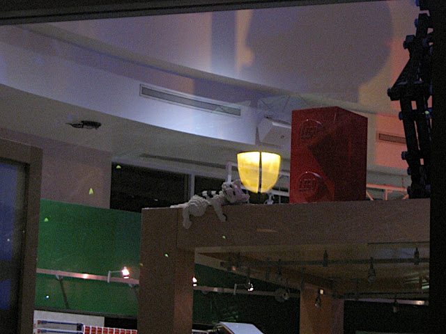 IMG_9712.JPG