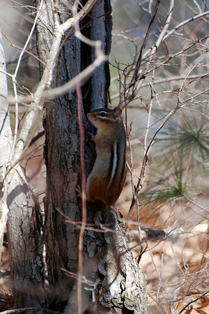 dsc_2472-1-M.jpg