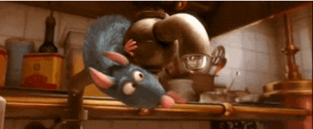 giphy.gif
