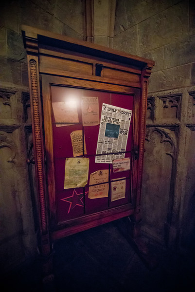 DSC_2792-L.jpg