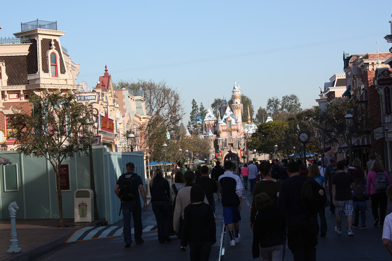 IMG9155-L.jpg