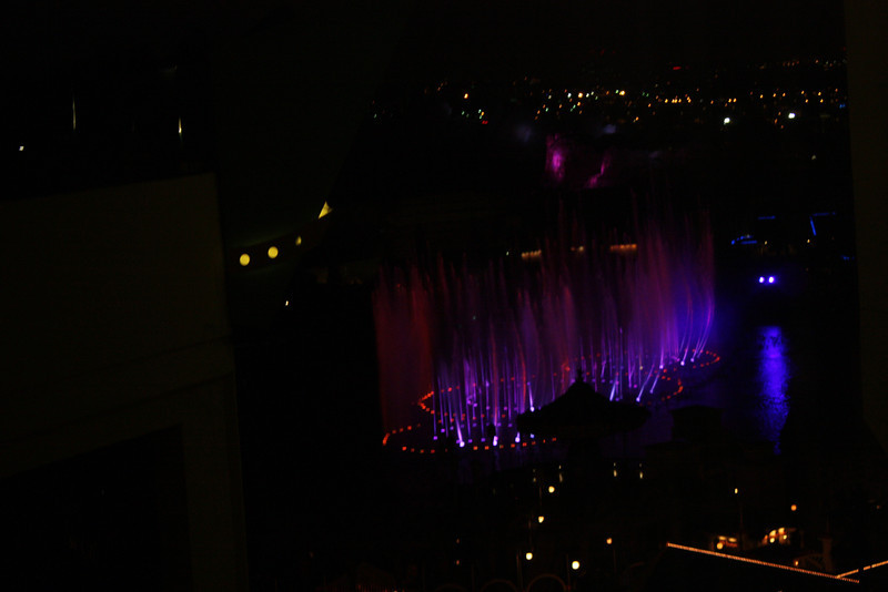 IMG_1654-L.jpg