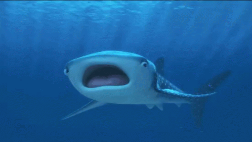 destiny-dory.gif