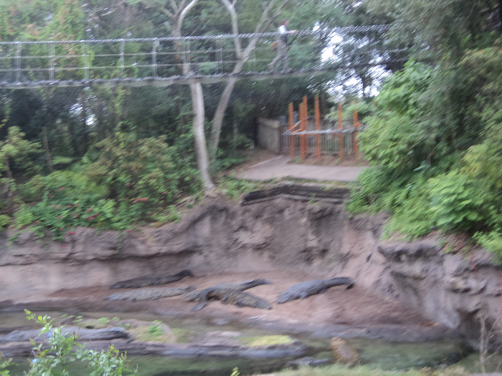 16019913902_43636e5a04_b.jpg