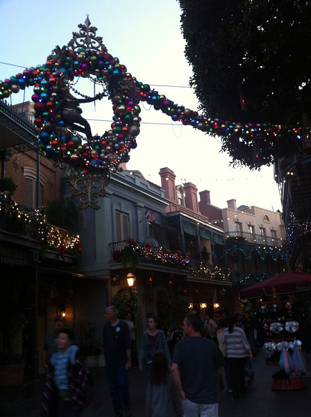 IMG4860-L.jpg