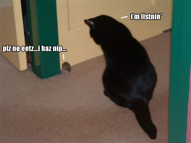 1204982164-7070nip.jpg