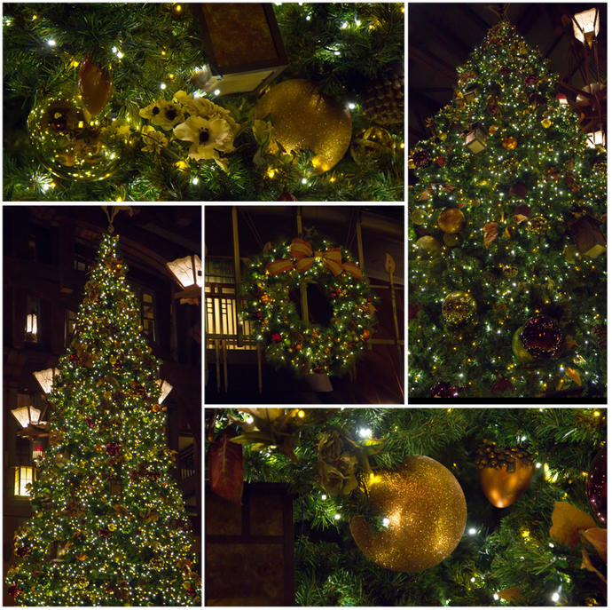 12-11-2013_17.jpg