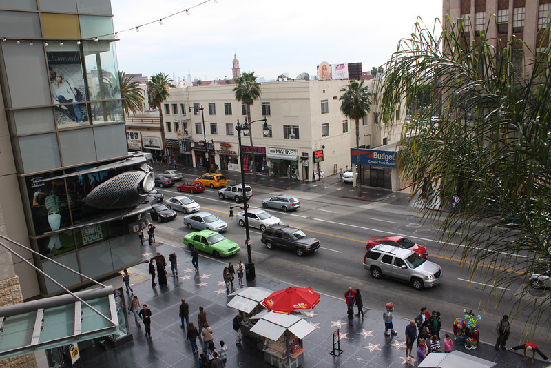 IMG0915-L.jpg