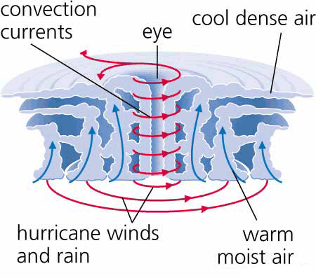 hurricane-diagram.gif