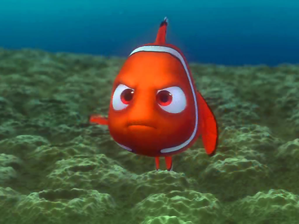 Finding-Nemo-19.jpg