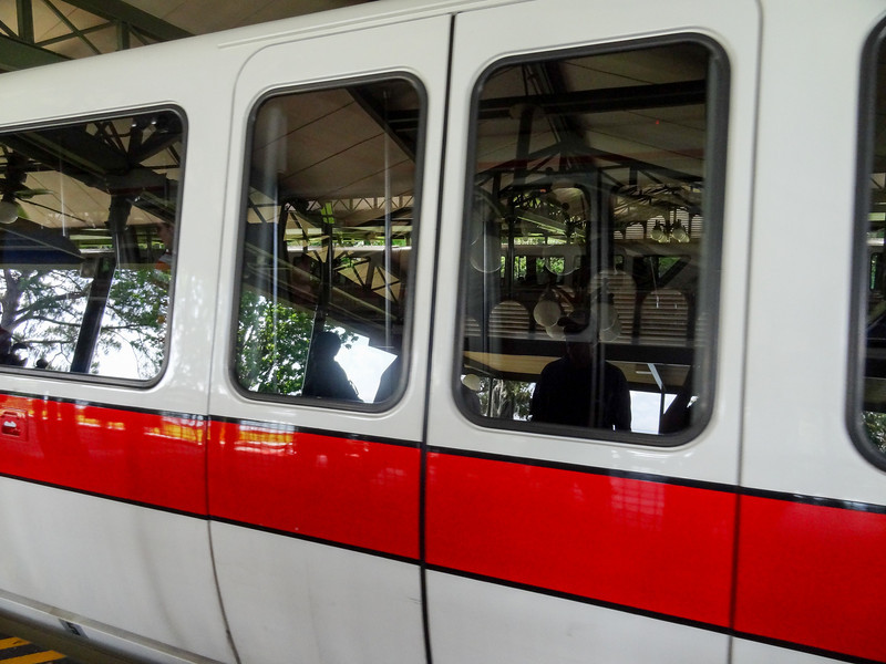 DSC01860-L.jpg
