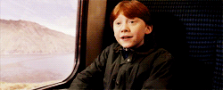 tumblr_loeas6TS2u1qkkj3to1_250.gif